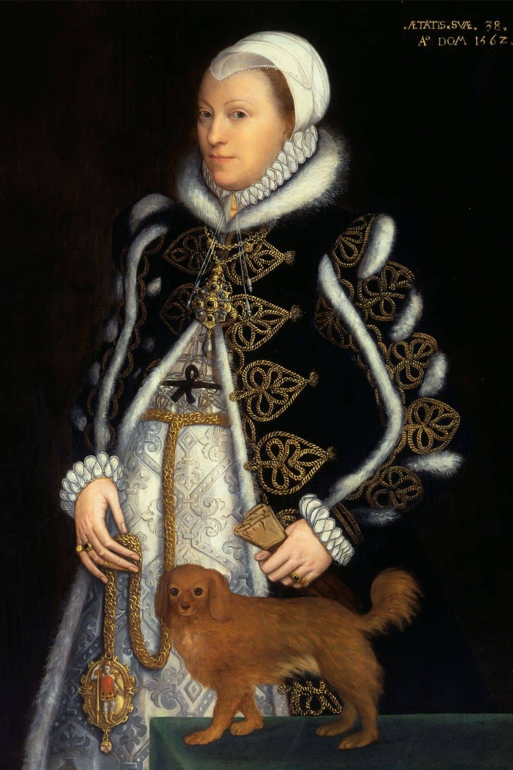 Catherine Carey By Steven van der Meulen — Yale Center for British Art Portrait of Catherine Carey, daughter of Mary Boleyn, dressed in richly embroidered Tudor clothing and holding a small dog. As Mary Boleyn’s child, Catherine’s lineage remains a key part of royal ancestry debates.