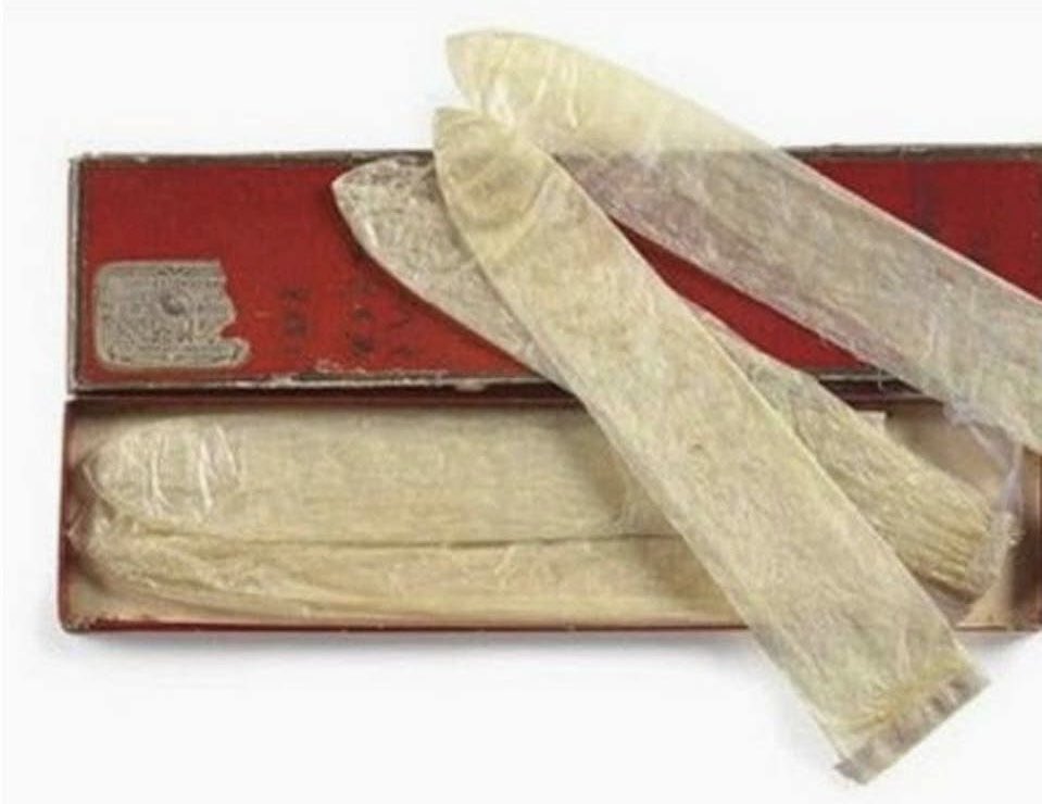 Early condom made from animal membrane displayed partially unrolled beside its original red storage case. The translucent material highlights one form of medieval contraception and disease prevention used before modern latex condoms.