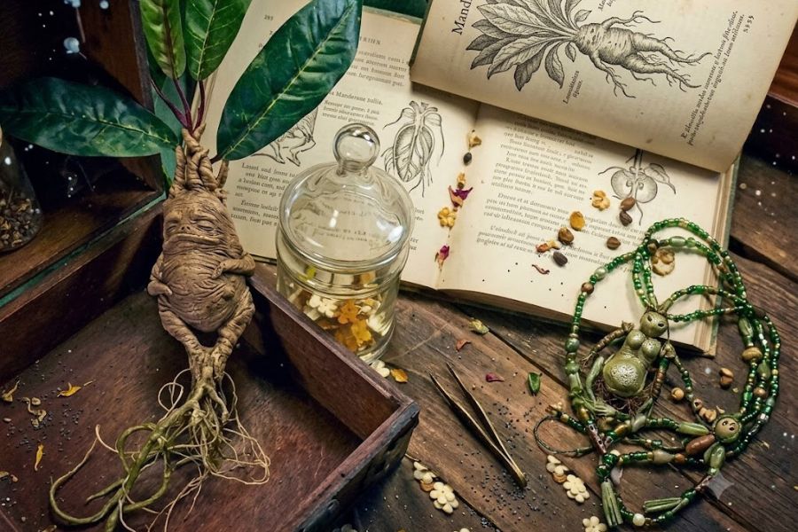 A human shaped mandrake root lies beside open botanical books with plant drawings. Seeds dried flowers a glass herb jar and green beaded charms create a display inspired by medieval aphrodisiacs and herbal love remedies.