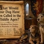 Two dogs sat next to a post parchment of medieval pet names